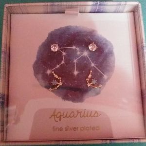 💍Astrology earrings ( Aquarius ) new